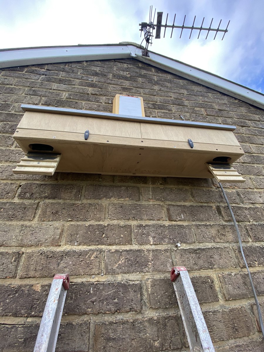 WakefieldSwifts's tweet photo. Our final double box of 2021 was placed in Sandal yesterday for @HilaryMilburn .Hopefully the swifts will enjoy this box with amazing views of the castle and across the fields to Pugneys. 2/3 https://t.co/iXDAWBYUK7