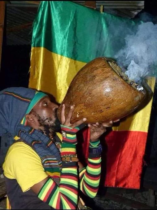 If you can&rsquo;t manage smoking weed and having a successful life, that&rsquo;s your problem. This here would be<a href="/tag/jamaica"class="tags"><span>#jamaica</span></a>