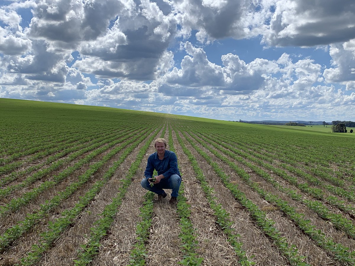 WollmannCleber's tweet photo. #notill#brazil https://t.co/OyifClI7mc