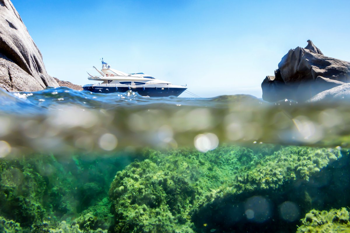 ParosVoyages's tweet photo. And ... the adventure begins! ⛵️🇬🇷
#parosvoyages #paros #mykonos #koufonisia #greece #yachting #yacht #islandlife #boats #boattrip #gopro #boatlife #discover #travel #dome #holidays #summer2021 #sun #sea #cyclades #aegean https://t.co/MK8wQws8UX