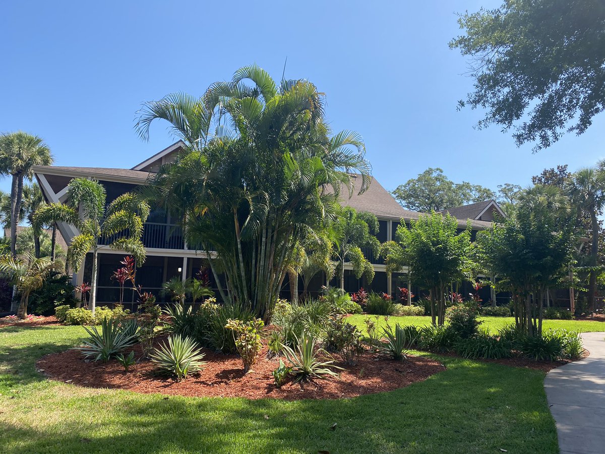 ひより tweet media