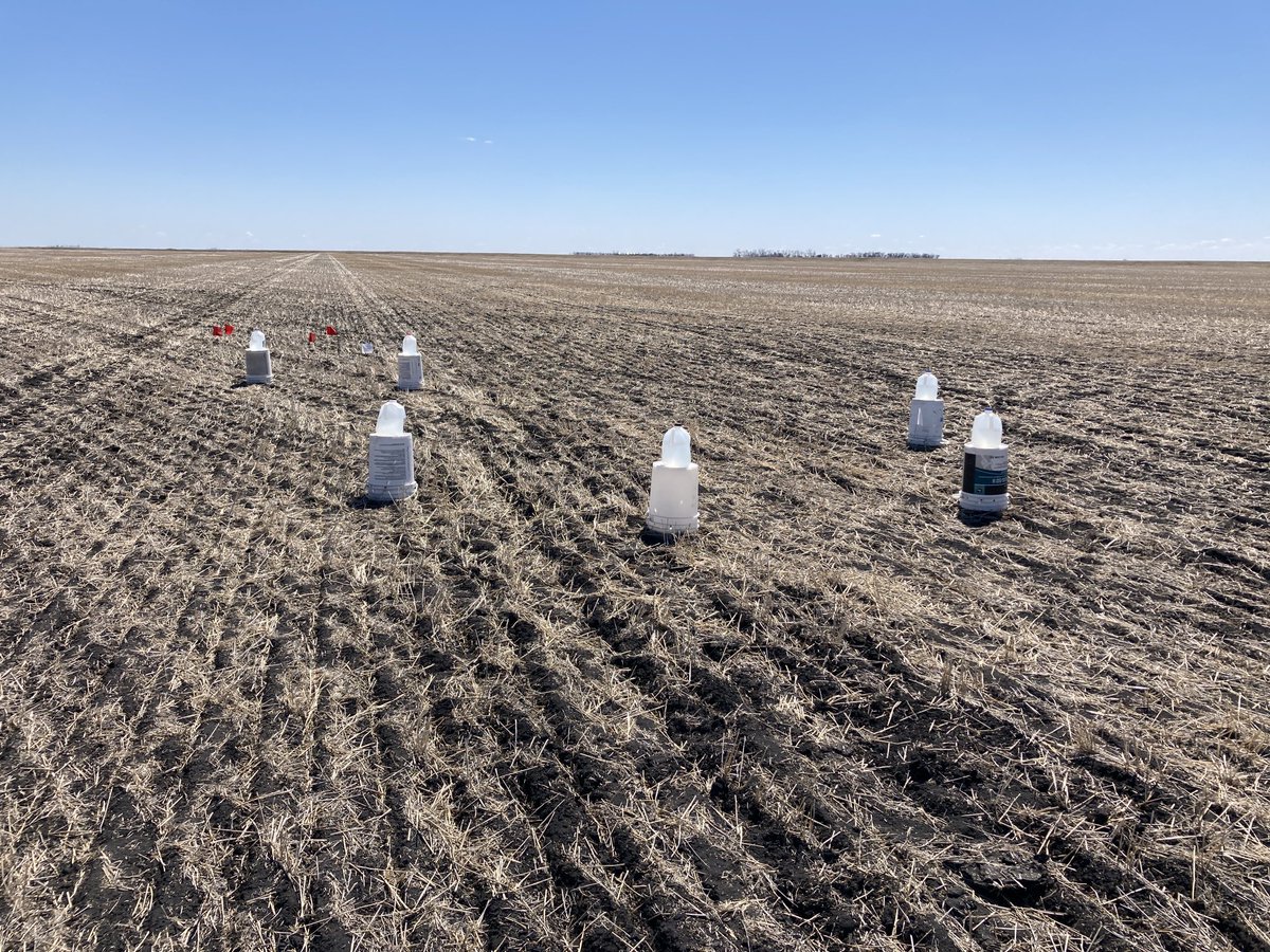 Oops - created more Q’s than A’s with my post on urea loss. So - yes I put 5 gal pails over the dositubes (pic from Red River Valley where no stones handy to keep them from blowing away), I order tubes from Levitt Supply, adapted protocol from John Lauzon, U of Guelph.