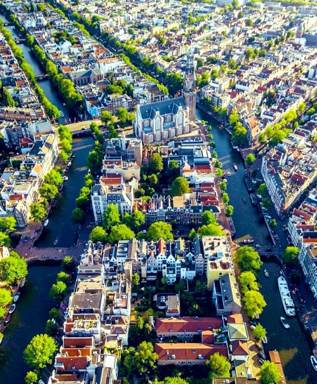 dirkjanjanssen's tweet photo. Una calle sin árboles es una calle incompleta. https://t.co/MrWjkkY28r