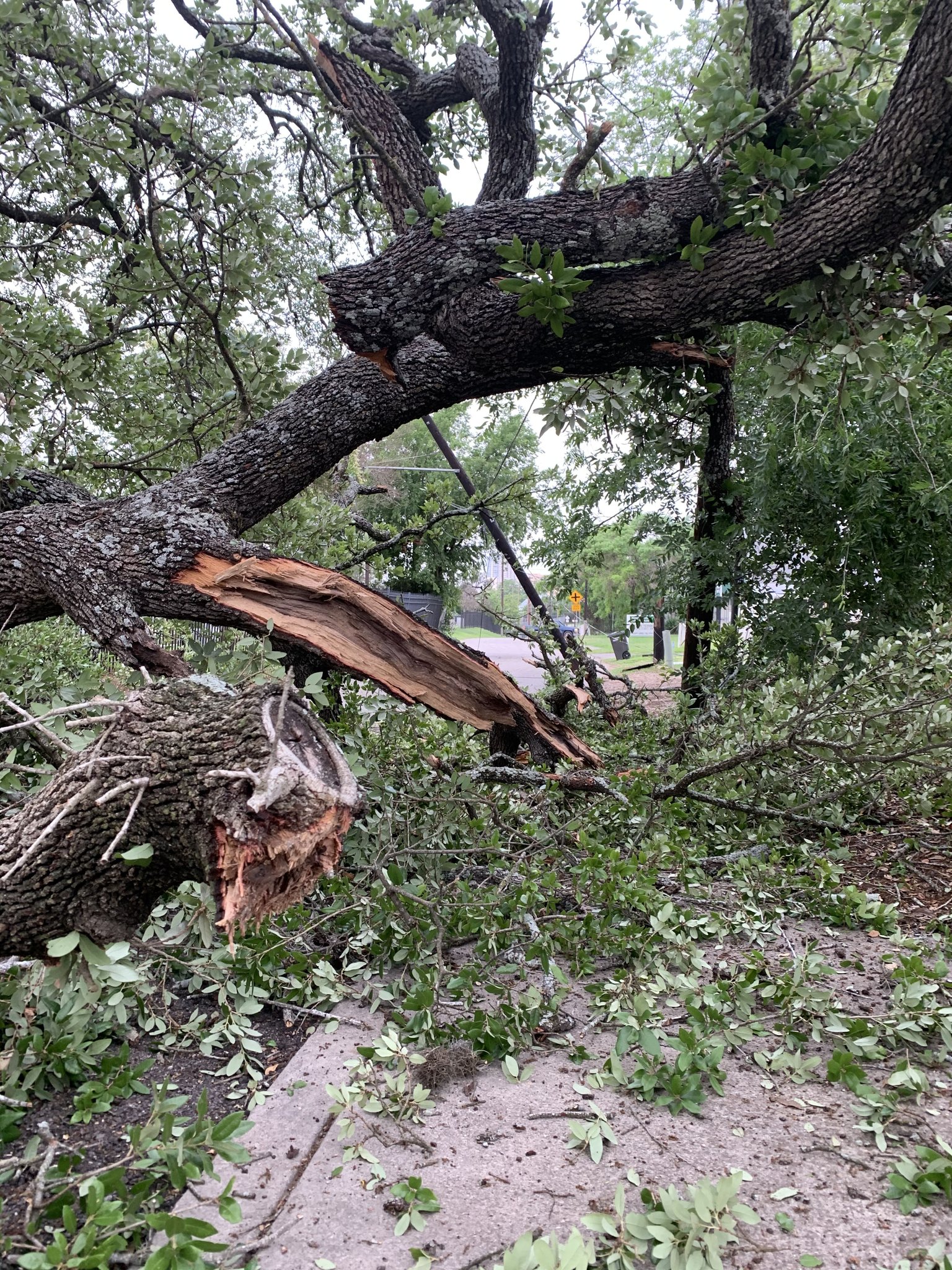 Cps Outage Map: Stay Informed, Stay Safe, Stay Prepared - o56rist