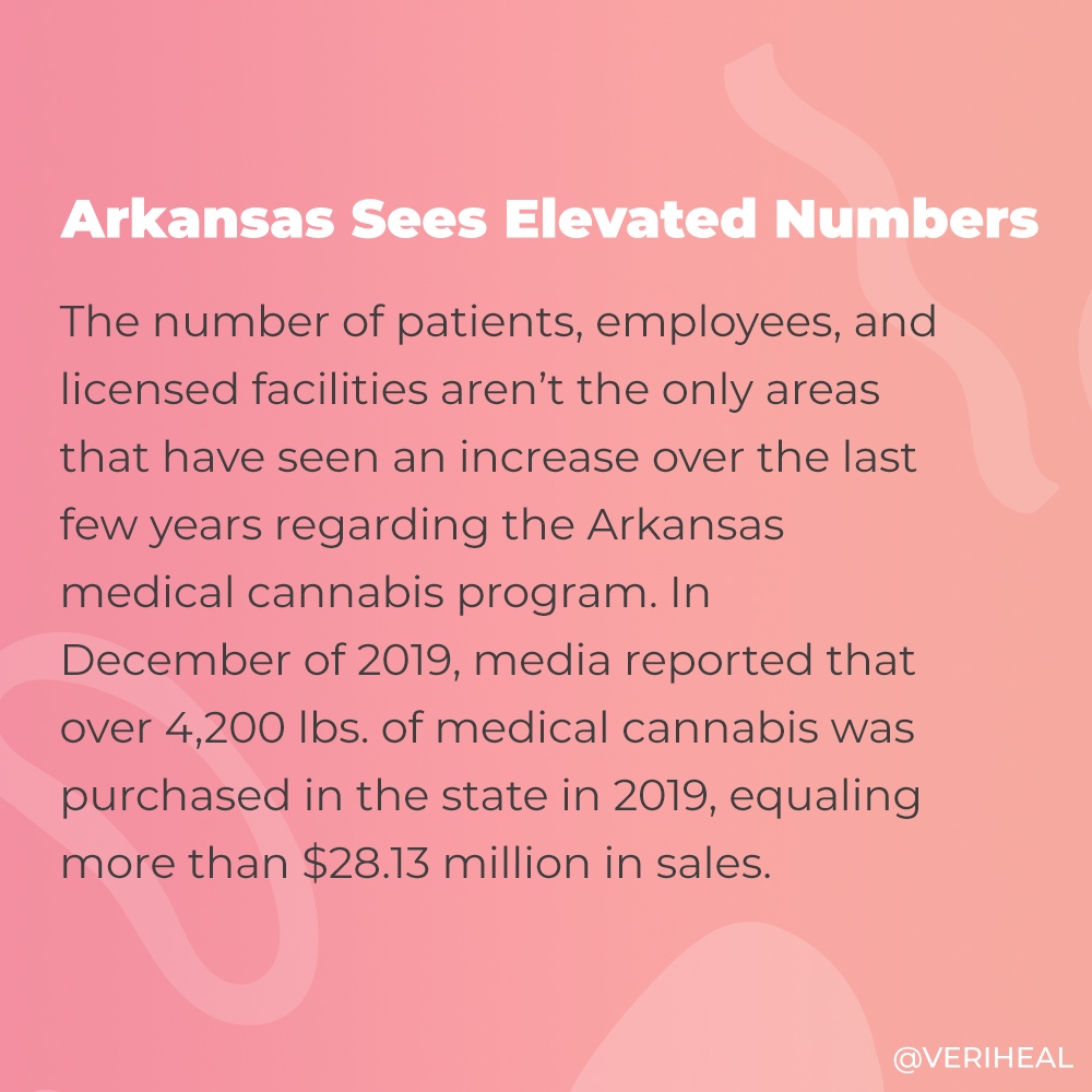 Veriheal's tweet image. Arkansas has had a very slow rollout when it comes to implementing its #medicalcannabis market. In 2016 citizens of #Arkansas voted to legalize. In the following years, Arkansas legislatures passed bills that would delay the #medicalprogram..

Learn More: veriheal.com/blog/arkansas-…