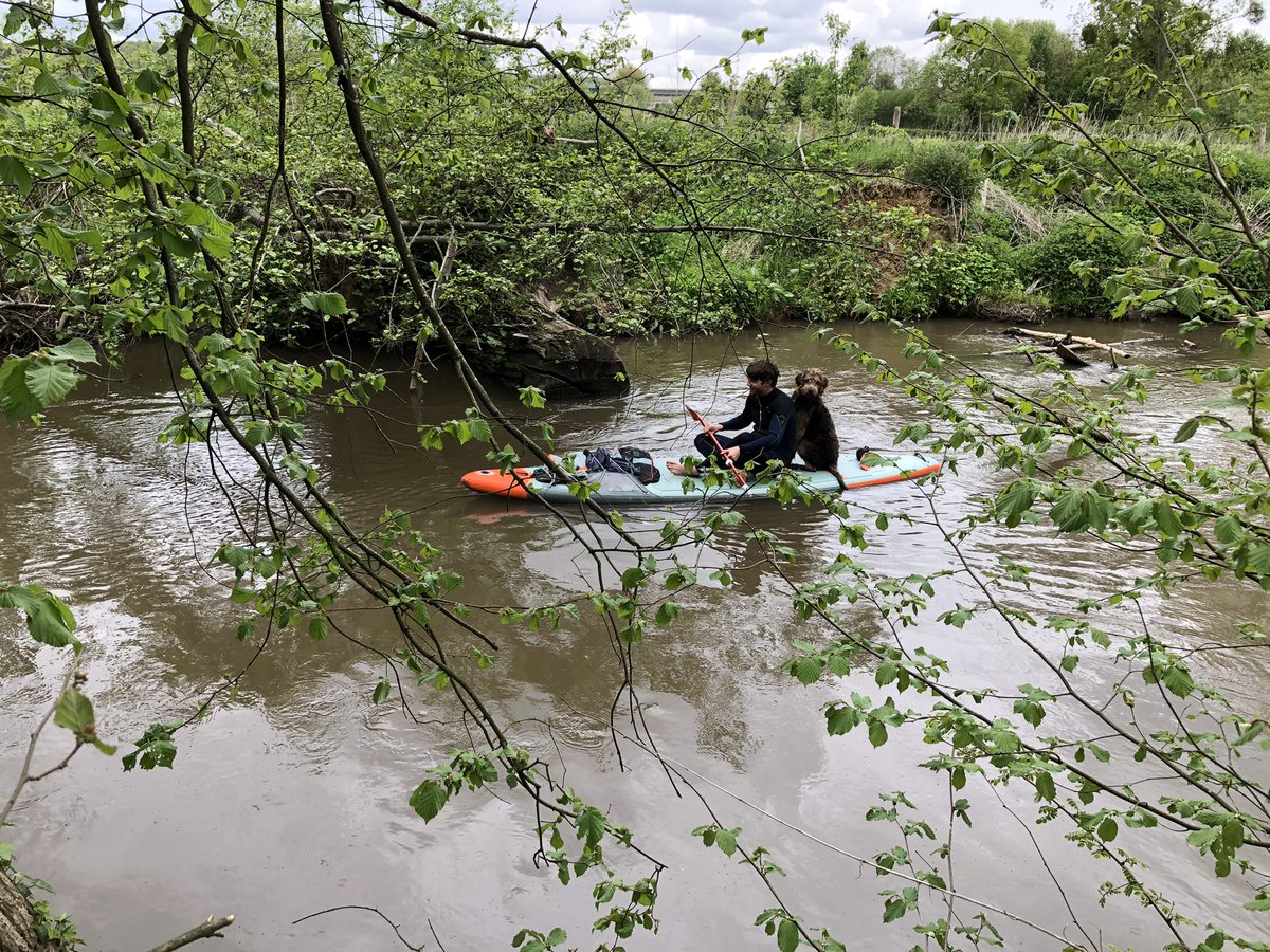 COostwegel's tweet photo. Met je trouwe #viervoeter avontuurlijk langs de #bevers op de snelstromendste rivier van Nederland in het Houthemse #Geuldal #Ingendael @Sint_Gerlach https://t.co/tXrM89vGMi