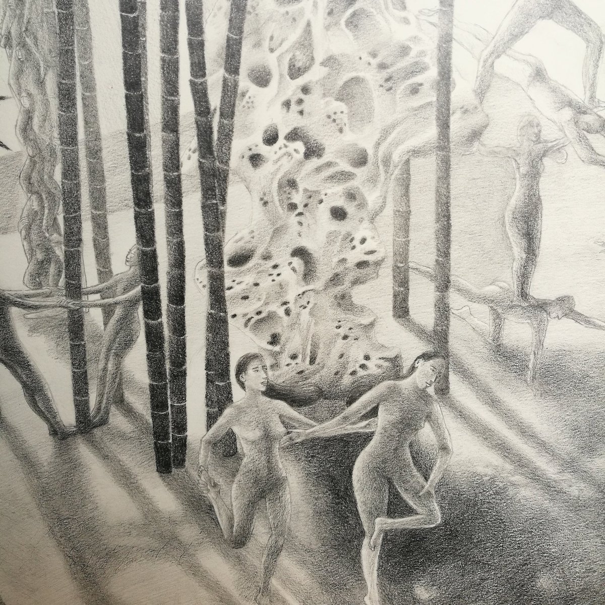 Detail of work progress for upcoming show at @SinArts_Gallery
#artshow #gallery #thehague #drawings #pencildrawings #artworks #4seasons