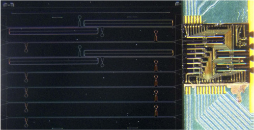 We recently demonstrated a hybrid integrated mode-locked laser. Read our paper in Optics Express: doi.org/10.1364/OE.422…
<a href="/PhotonicsUGent/">Photonics UGent</a>  <a href="/KasperVanGasse/">Kasper Van Gasse</a>  <a href="/BartKuyken/">Bart Kuyken</a> Enabled trough #ITN <a href="/microcomb/">Microcomb Innovative Training Network</a> and <a href="/FWOVlaanderen/">FWO</a>