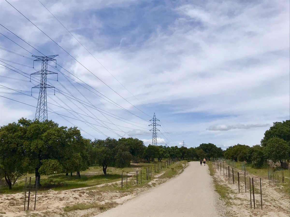 DaniOrtaG's tweet photo. La contaminación visual/estética en  nuestro pulmón verde de #Sanse. @NarcisoSanse, @MPerdigueroCs, @juantorresga, @lfernandeza... para cuándo una propuesta para valorar el soterramiento de las torres de alta tensión en nuestra #dehesaboyal?@AVTempranales @avvsanse abrimos hilo? https://t.co/IJcagWrcqe