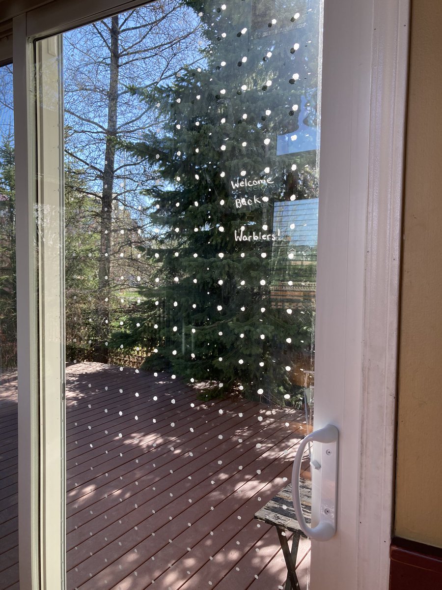 steffohyeah's tweet photo. Finally figured out a simple way to mark my windows. Bring on the warblers! If I can do it so can you. #NoMoreCollisions #yyc #migration #warblers #birds  @CalgaryResponse https://t.co/UtCZnHWRW6