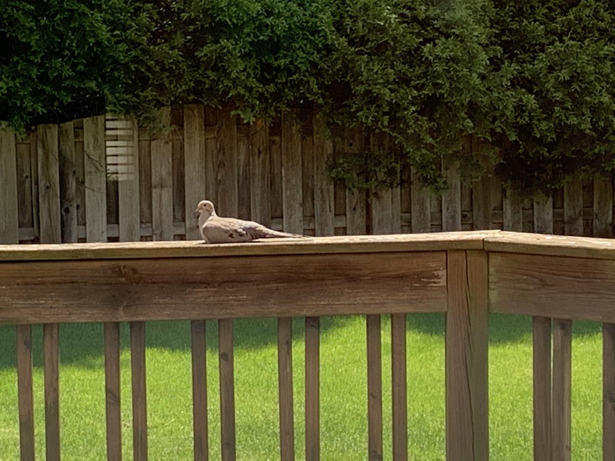 サラリーマンハンター Salarymanhunter Twitter