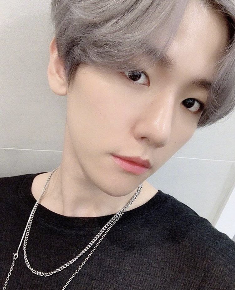 카 나 🐶フンベク愛好家🐥 tweet media