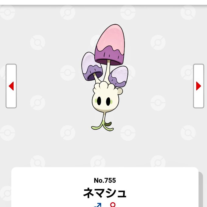 ネマシュ ネマシュ