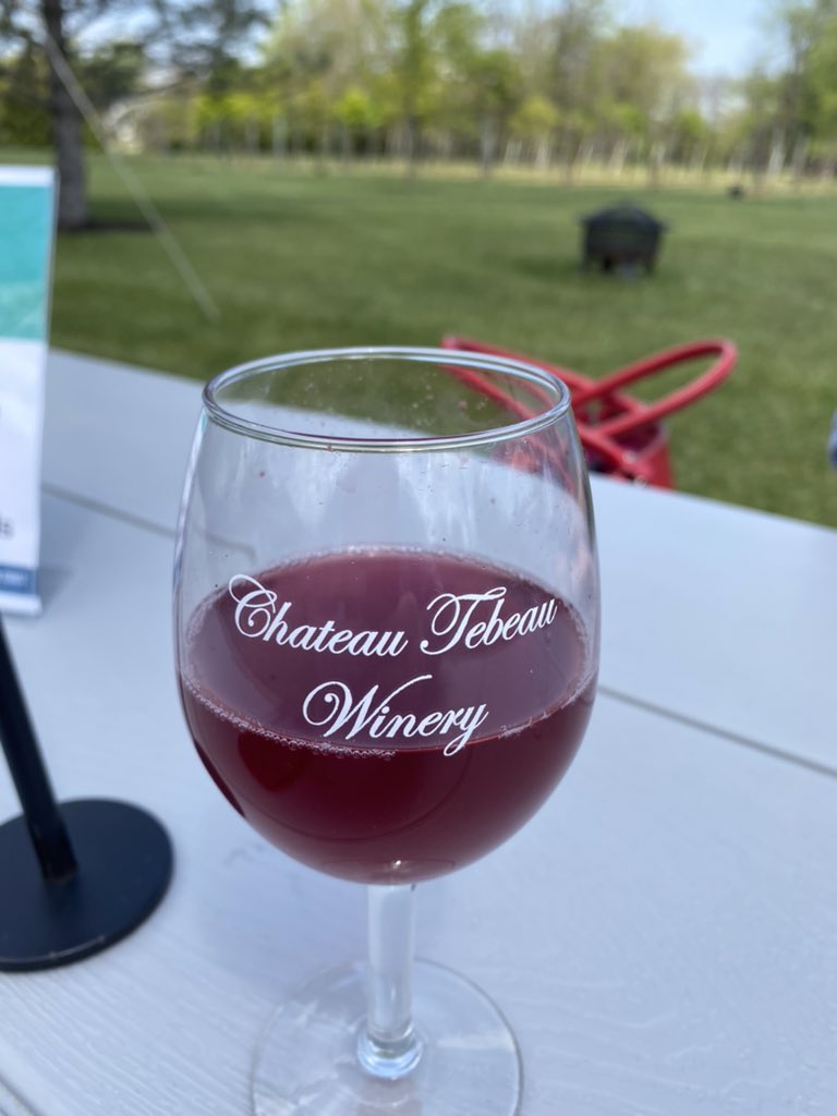 It’s a perfect day to be outside and support @ncgcgreyhounds at Chateau Tebeau Winery. #grapes&amp;greyhounds