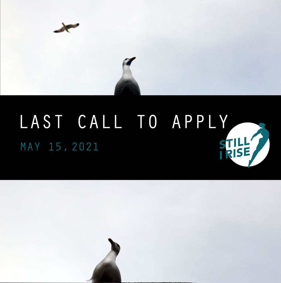 Today is the day! We will be closing our Still I Rise Films fellowship call tonight so send in your ideas now. stillirisefilms.org/submissions #filmfellowship #womenfilmmakers #documentarygrant