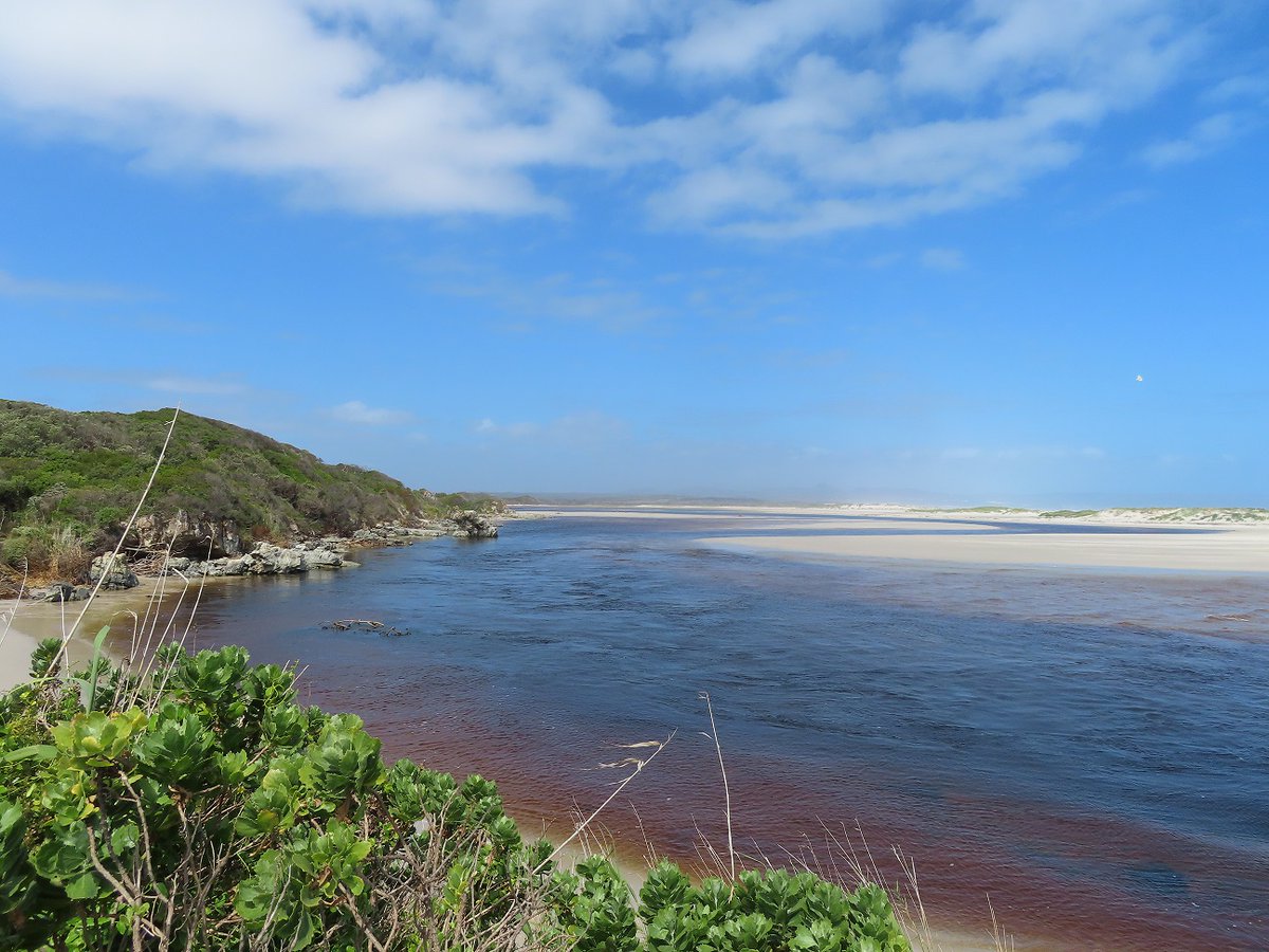 Gail_Mail's tweet image. The alarming pace of sea-level rise, combined with increasing storms &amp;amp; coastal urbanization, has led to coastal erosion &amp;amp; flooding in coastal cities &amp;amp; towns. #SecondWorldOceanAssessment #RegularProcess #GrottoBeach #GrottoDrowning #OceanDecadeEdition
sdgs.un.org/goals/goal14