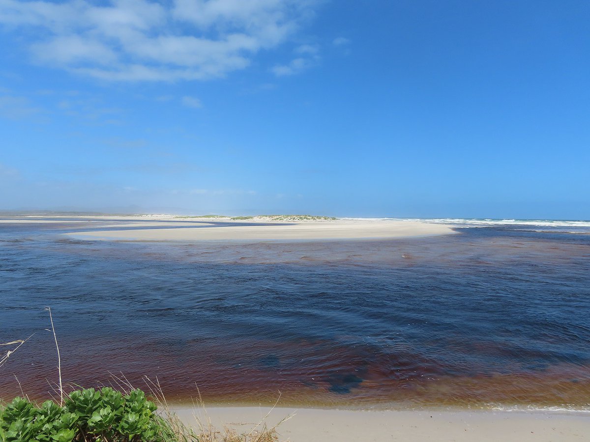 Gail_Mail's tweet image. The alarming pace of sea-level rise, combined with increasing storms &amp;amp; coastal urbanization, has led to coastal erosion &amp;amp; flooding in coastal cities &amp;amp; towns. #SecondWorldOceanAssessment #RegularProcess #GrottoBeach #GrottoDrowning #OceanDecadeEdition
sdgs.un.org/goals/goal14