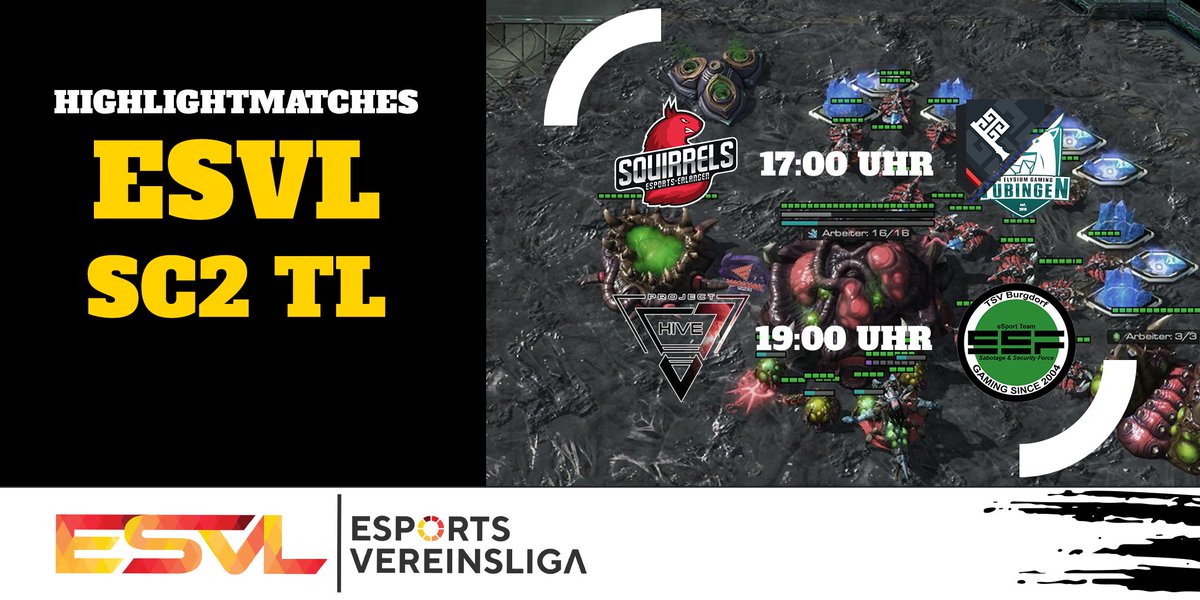 ESPORTS VEREINSLIGA tweet media