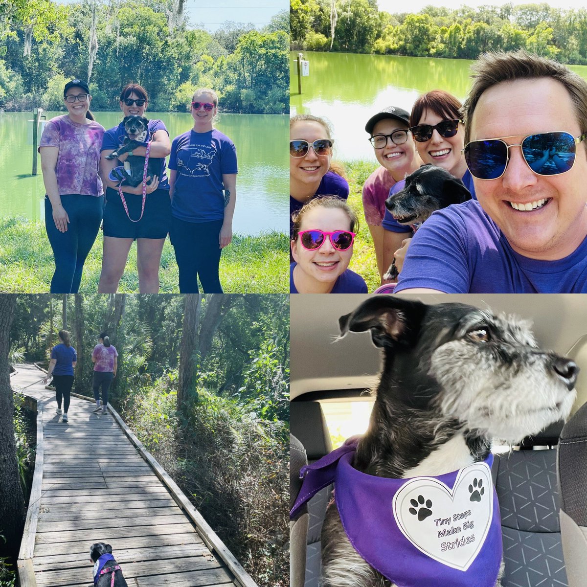 Enjoyed our #GreatStrides event as a lab this morning for <a href="/CF_Foundation/">Cystic Fibrosis Foundation</a>! Thank you to everyone who donated and supported the lab!
