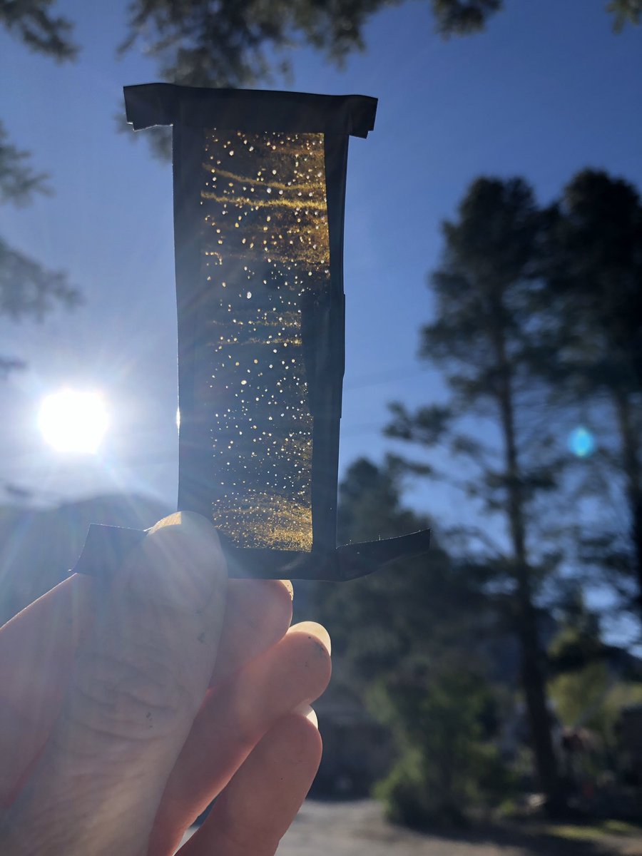 Aqueous_Eryn's tweet photo. How to preserve mud as thin sections?? At Mono Lake we’re still working on it... https://t.co/8FuhLpYSAR
