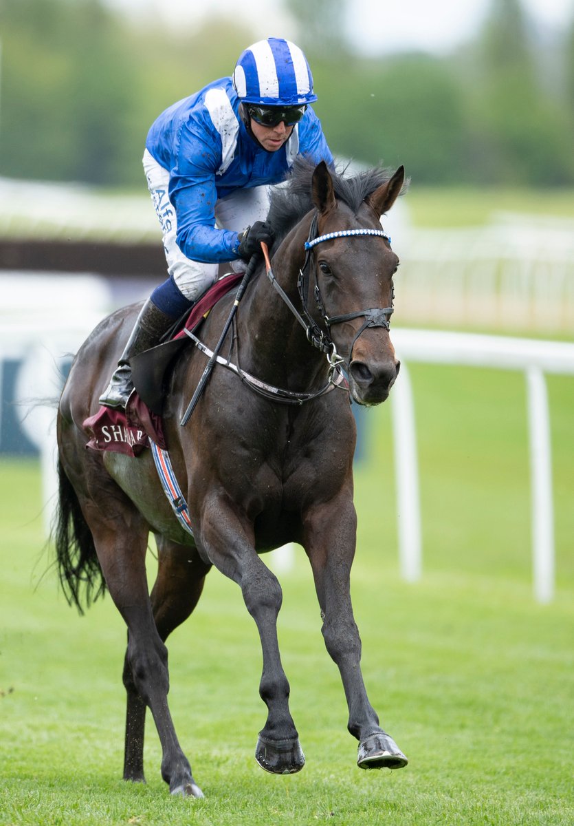 Racing Post tweet media