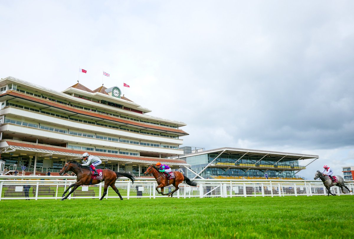 Racing Post tweet media