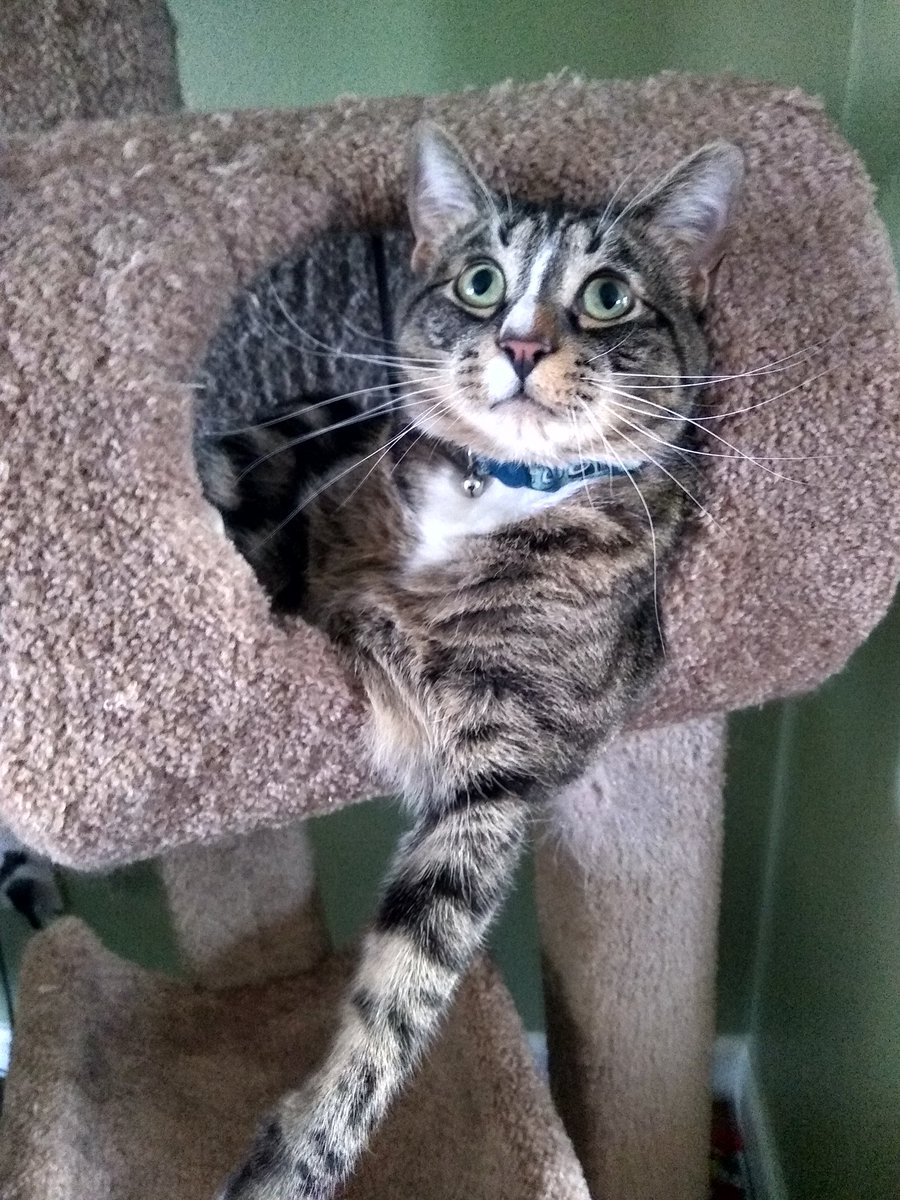 Cindy Hval tweet media