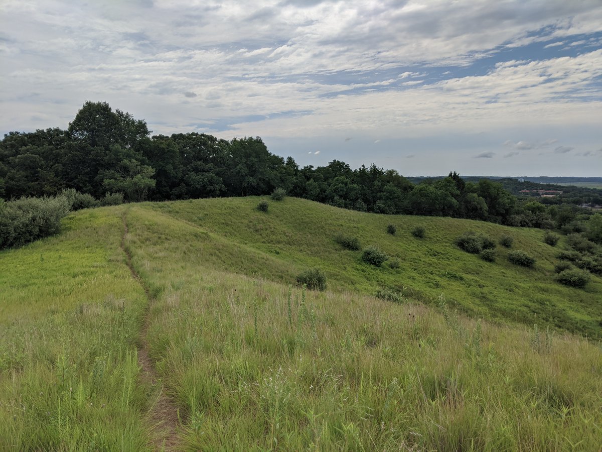 IowaPrairieNet's tweet photo. Thanks to those who contributed to our annual winter meeting fundraiser. This year's restoration project went to Vincent Bluff Preserve, Council Bluffs, IA (2 pictures below). Our donors helped us raise over $2,500.00!

Info on the prairie can be found at: https://t.co/zgOlGuhAbU https://t.co/F3zRytAHNQ