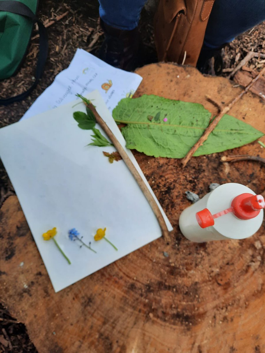 BridgetheGapFW's tweet photo. Wow! What an absolutely brilliant day over at Hannah Fields Community Garden with @CStaywell. It was a joy to be able to go into the community again and spend time in a fabulous setting. Lots of great activities enjoyed by everyone 👍🏼🌈💚 https://t.co/5wSO4pNqr0