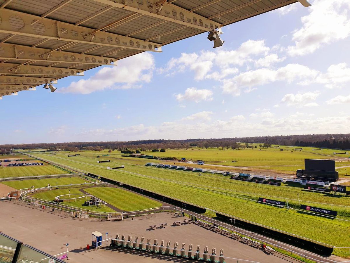 ianwilliamsraci's tweet image. Typical Man for Mascalls Stud got off the mark by winning the @AtTheRaces Handicap @DoncasterRaces under David Egan 

Driven to get competitive two furlongs out, David drove him clear to win by four lengths 🍾🏆 #SaturdayWinner 

👉 bit.ly/1BywGAg