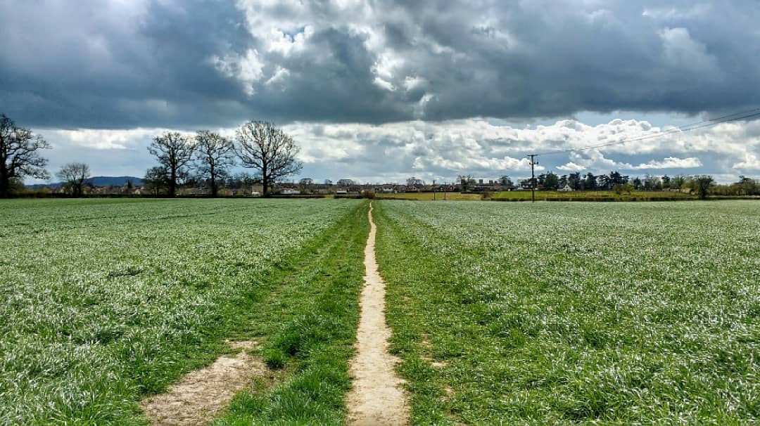 Beth Foot Forward tweet media