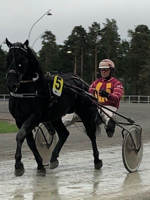 Rättvik 15 Maj
Lopp : 1
Segrare: Bol Igel
Tränare/Körsven: Jan Roar Mjölneröd
Ägare: Nina Ödegaard
Vårdare: Jan Roar Mjölneröd
Segertid: 1.34,5
Stort grattis! #dalatravet #trav #rättvik#ägahäst #älskatrav