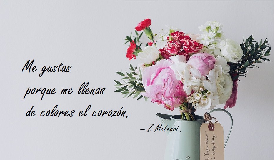 yozmcleari's tweet photo. Me gustas porque me llenas de colores el corazón.

#LYF15 #LetrasyLatidos #EwePoesia
#FelizSabado Hoy 15 Z https://t.co/UH5IkXR743