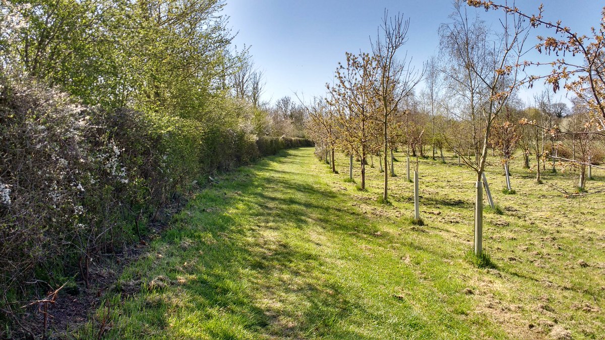 Beth Foot Forward tweet media