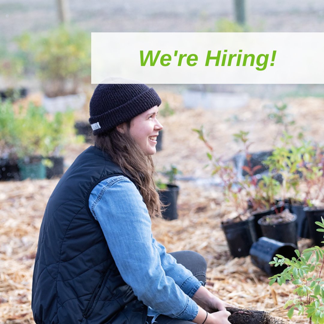 Meewasin tweet media