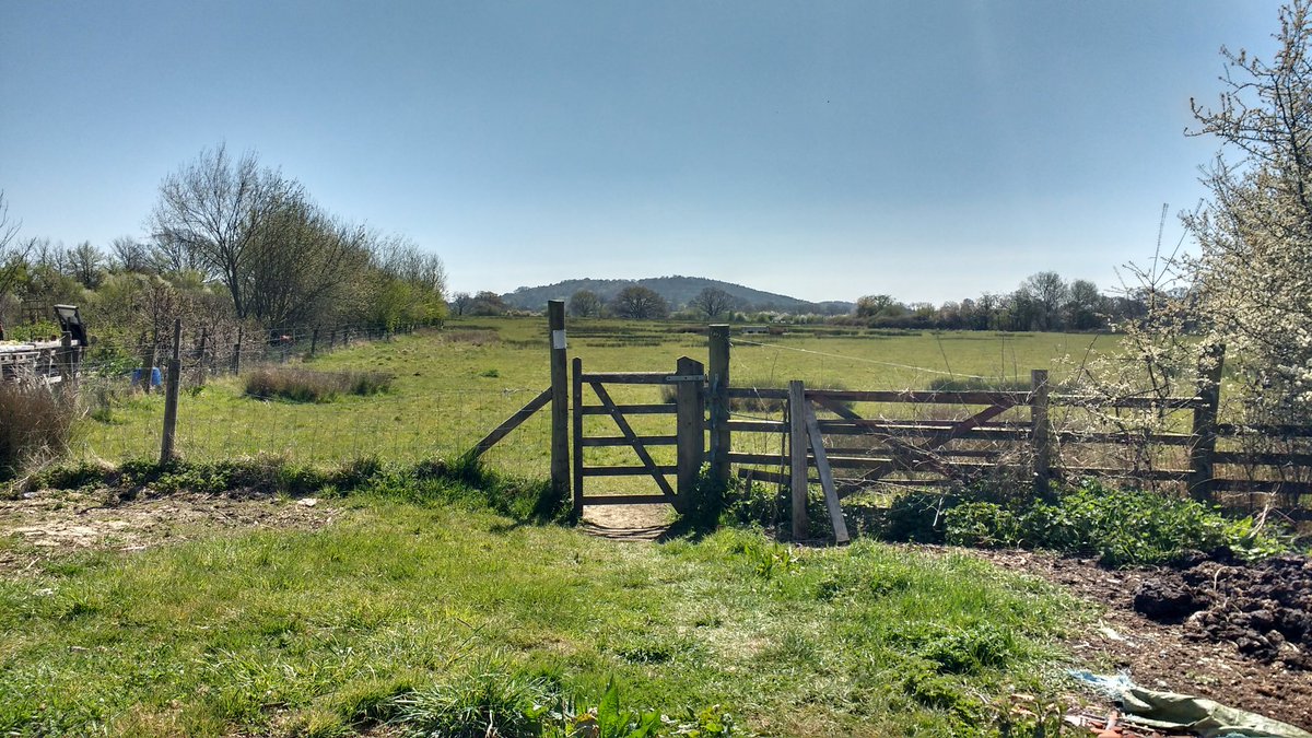 ...and a few more from around #Gillingham, North #Dorset ☺️