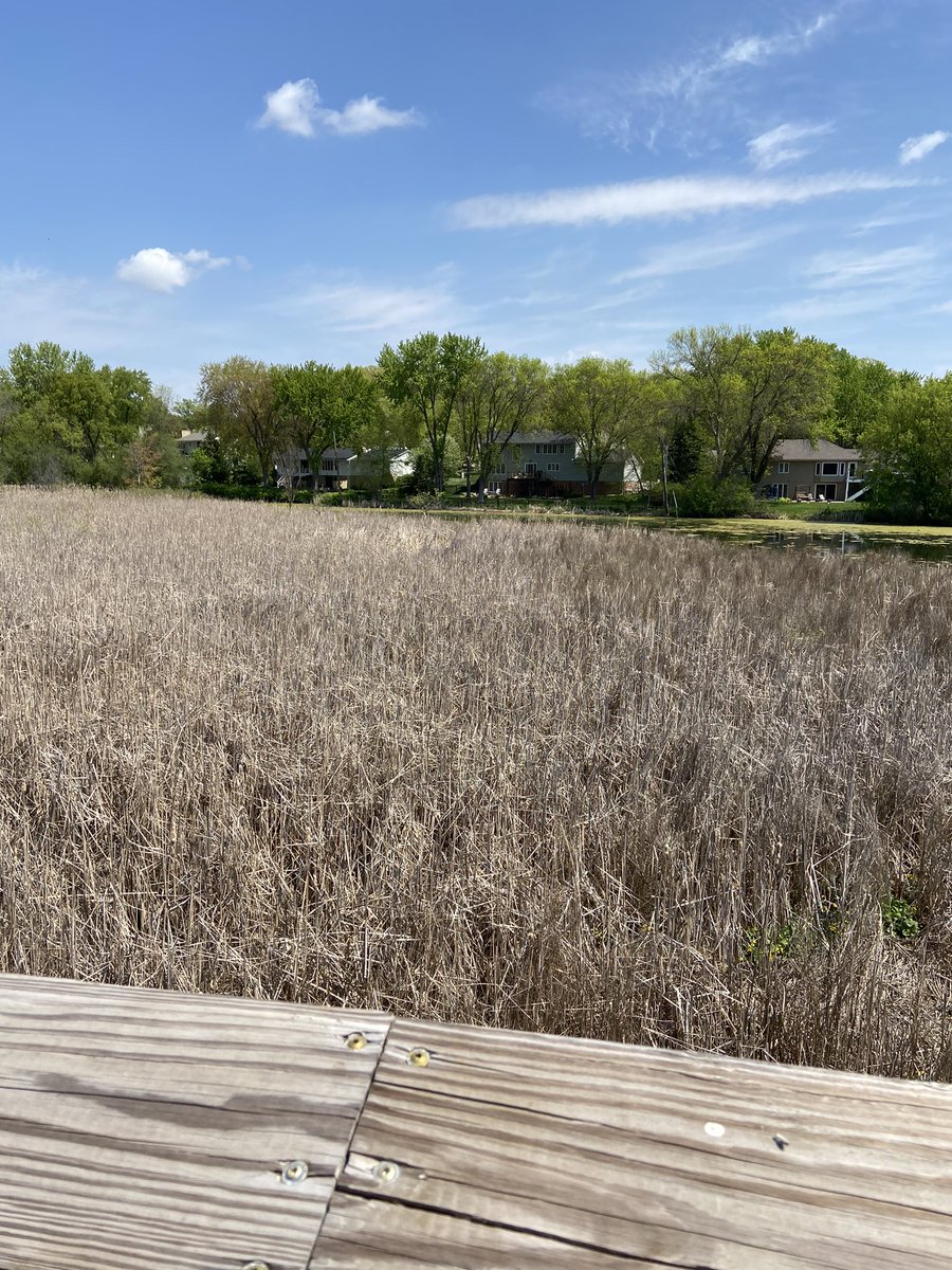 SvenTystnad's tweet photo. Biking along Nine Mile Creek 🚴🏻♂️🚴🏻♂️🚴🏻♂️ #ActiveTwitter https://t.co/118doEnHZO