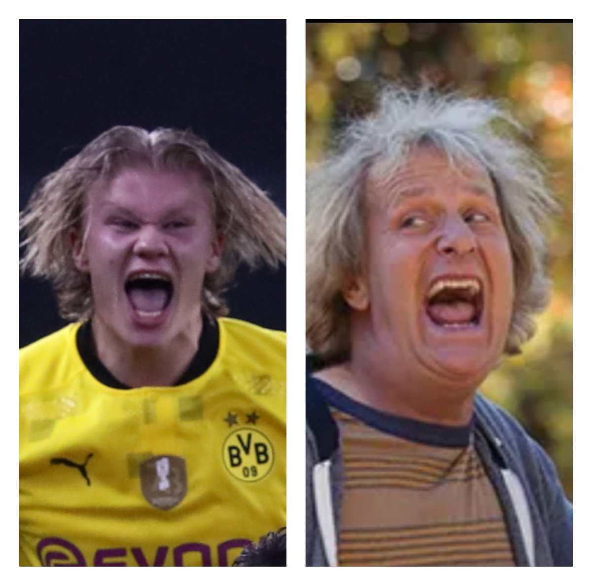 Duncan Batchelor tweet media