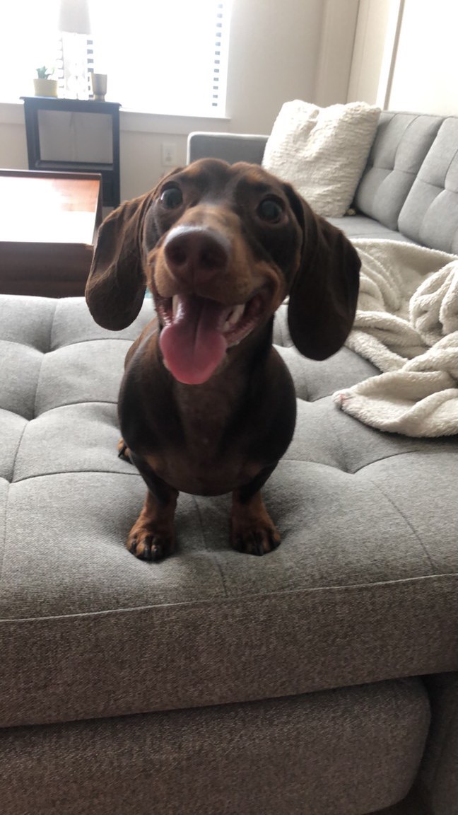 Spencer Workman, MD tweet media