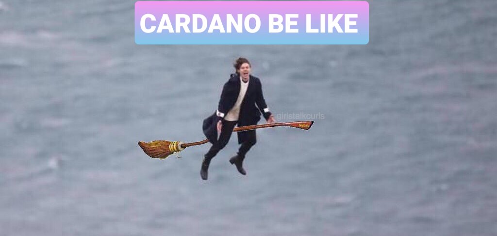 RoBlade6's tweet photo. #Cardano #cryptocurrencies #cryptocurrencies https://t.co/69sJ8WqhmC