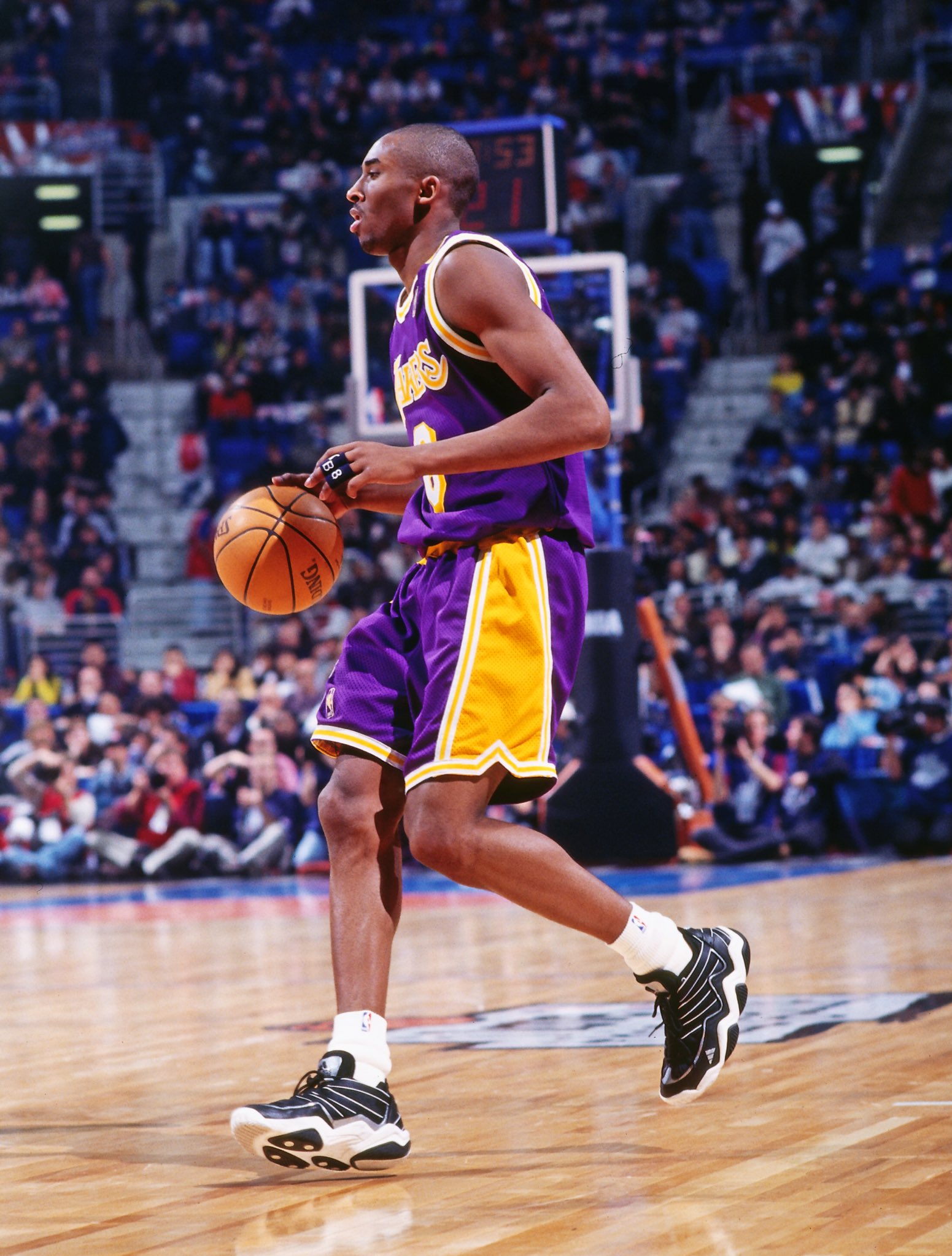golf Azië als Nick DePaula on Twitter: "Kobe's Adidas highlights: The Feet You Wear & Frobe era was special. • Top Ten 2010 • EQT Elevation at the Dunk Contest • KB8s at MSG vs golf Azië als Nick DePaula on Twitter: "Kobe's Adidas highlights: The Feet You Wear & Frobe era was special. • Top Ten 2010 • EQT Elevation at the Dunk Contest • KB8s at MSG vs