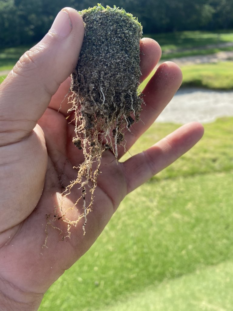 Rick Partain tweet media