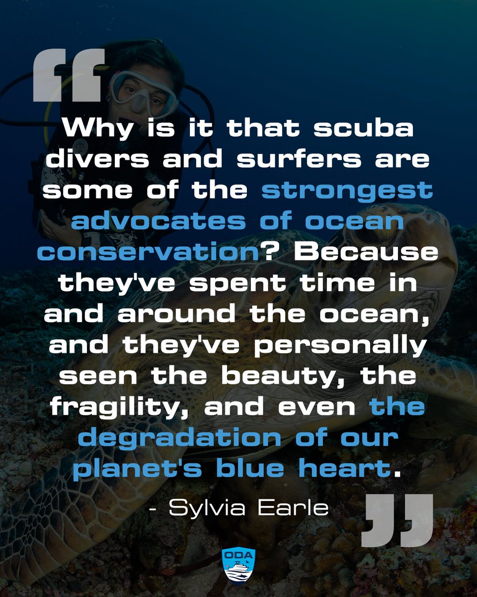 We are firm believers that everyone can can be an advocate for the ocean, it only takes the willingness to understand the fragility of our ocean and a heart full of courage to stand up to the task. 🌊

#OceanAdvocate #MarineConservation #CitizenScience #SylviaEarle