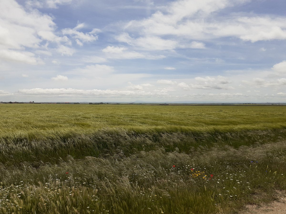 ea4agi's tweet image. Armuña infinita