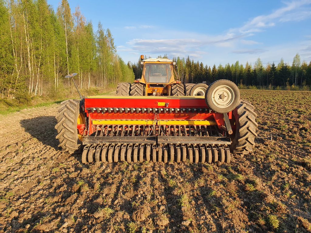 Nyt olemme päässeet kylvövaiheeseen. Miniauroilla muokattiin ja sen jälkeen äestettyyn maahan kylvetään härkäpapua ja aluskasviksi timoteitä. Näyttää siltä, että jokunen apila jää myös aluskasviksi.