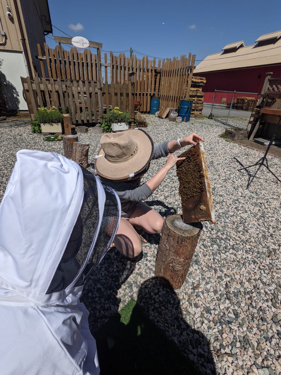 BladingforBees tweet media