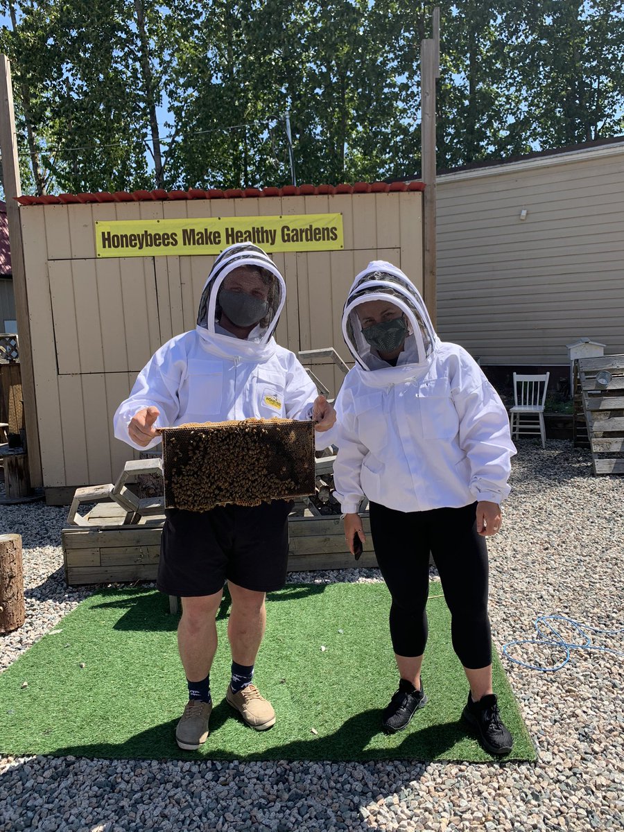 BladingforBees tweet media