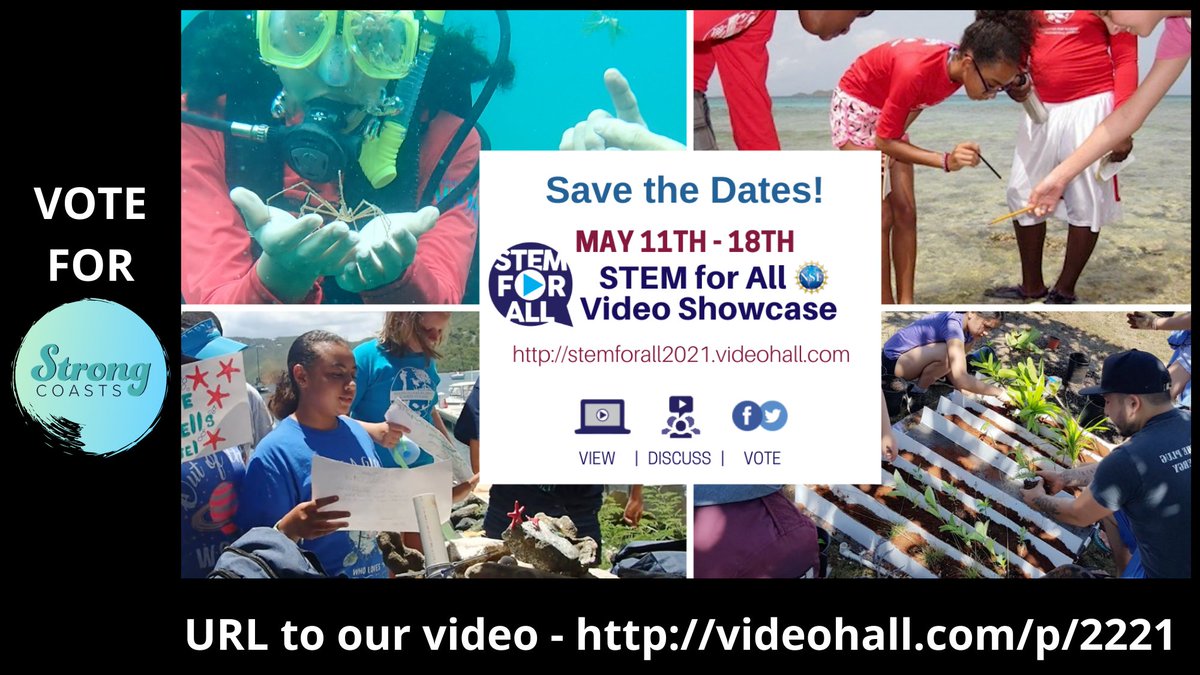 Strong Coasts tweet media