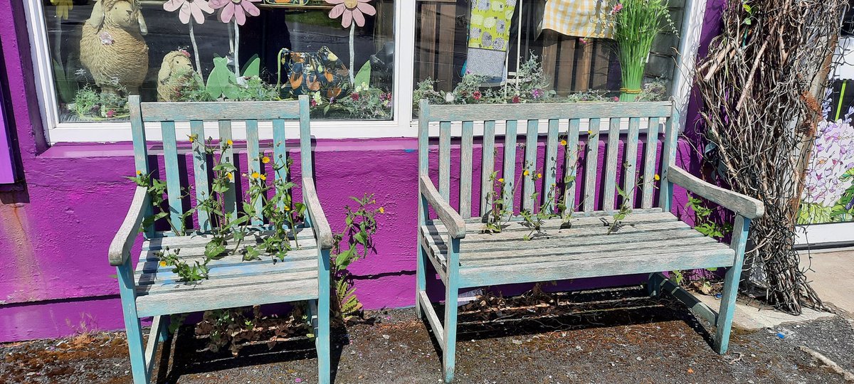 mitchellflorist's tweet photo. We left the weeds for as long as possible! #nomowmay https://t.co/kWeCM2btRl