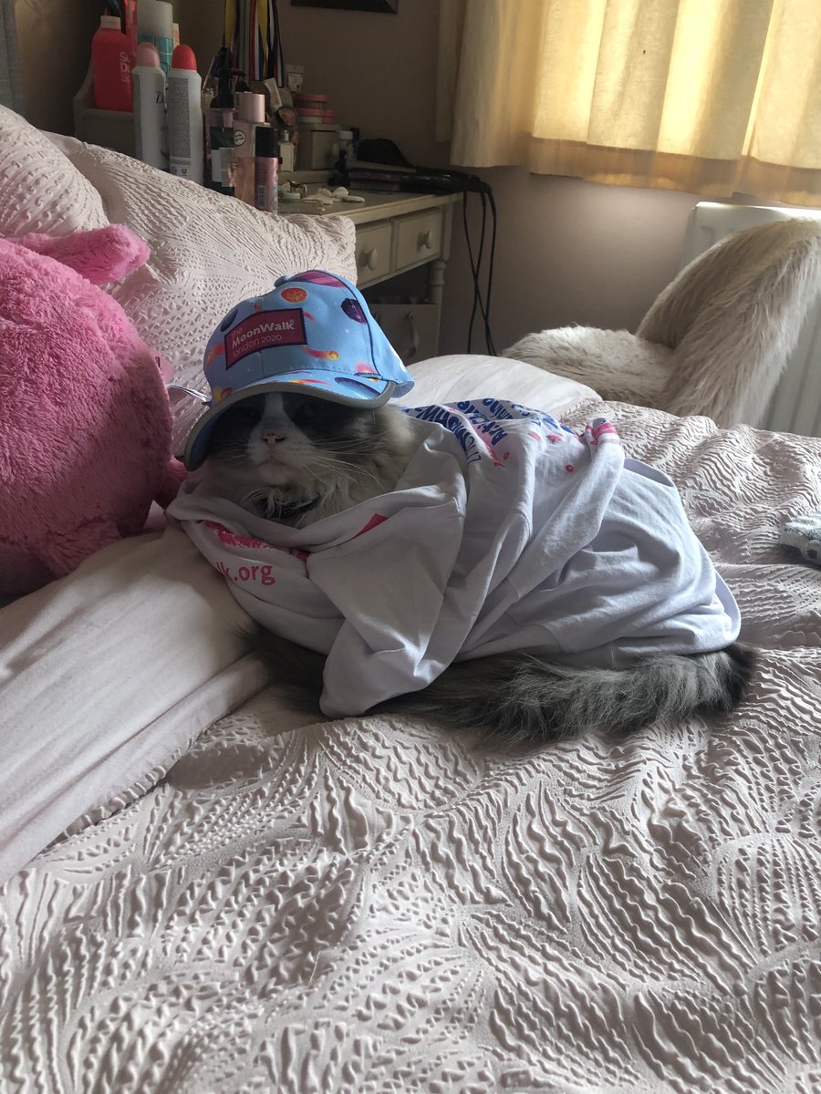 nicoleriches's tweet photo. Congratulations ⁦@Lilacandroses96⁩ and Sophs for completing your ⁦@WalktheWalk⁩ in aid of #breastcancer today - not sure the cat was a willing mascot though ;) https://t.co/m1ekGzKtG2